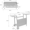 PLANCHA GAZ 3 BRULEURS