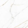 GOLDEN POLI 120X120