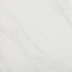 CALACATTA GOLD POLI 120X120