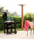 Barbecue charbon