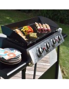 Plancha Gaz